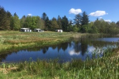 image00011