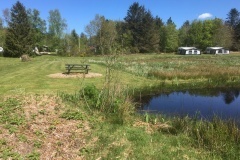 thumbs_image00012