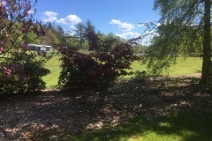 thumbs_image00015